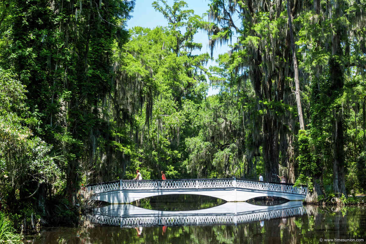 Historic, natural sites abound during Charleston trip