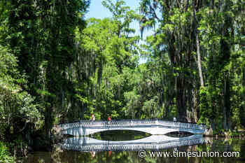 Historic, natural sites abound during Charleston trip