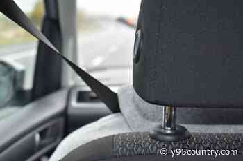 Wyoming Leads Nation In Preventable Seatbelt Deaths, Experts Urge Action Now