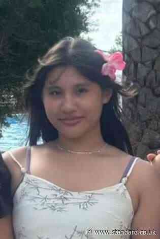 Girl, 16, who died after being hit by minicab on way to north London private school is named and pictured