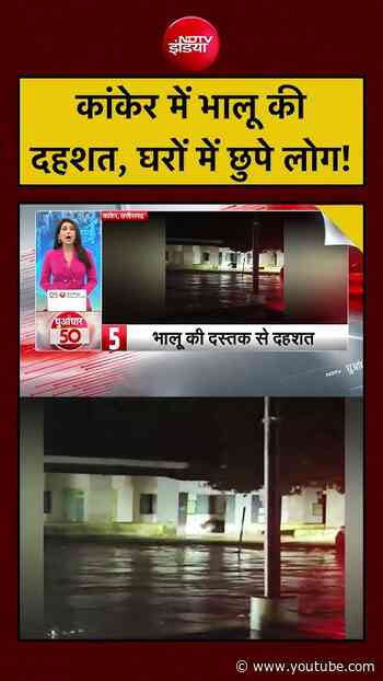 Viral Video :  कांकेर में भालू की दहशत, घरों में छुपे लोग! | Ranjana | #shorts #trending