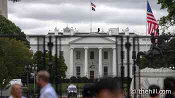Senior White House spokesperson to move to Office of Director of National Intelligence 