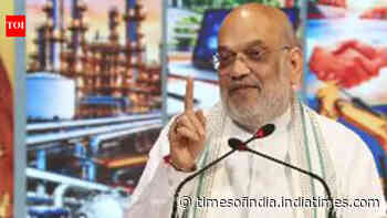 'Mafia ruled UP, Yogi govt eliminated it': Amit Shah highlights political stability, policy implementation under BJP govt