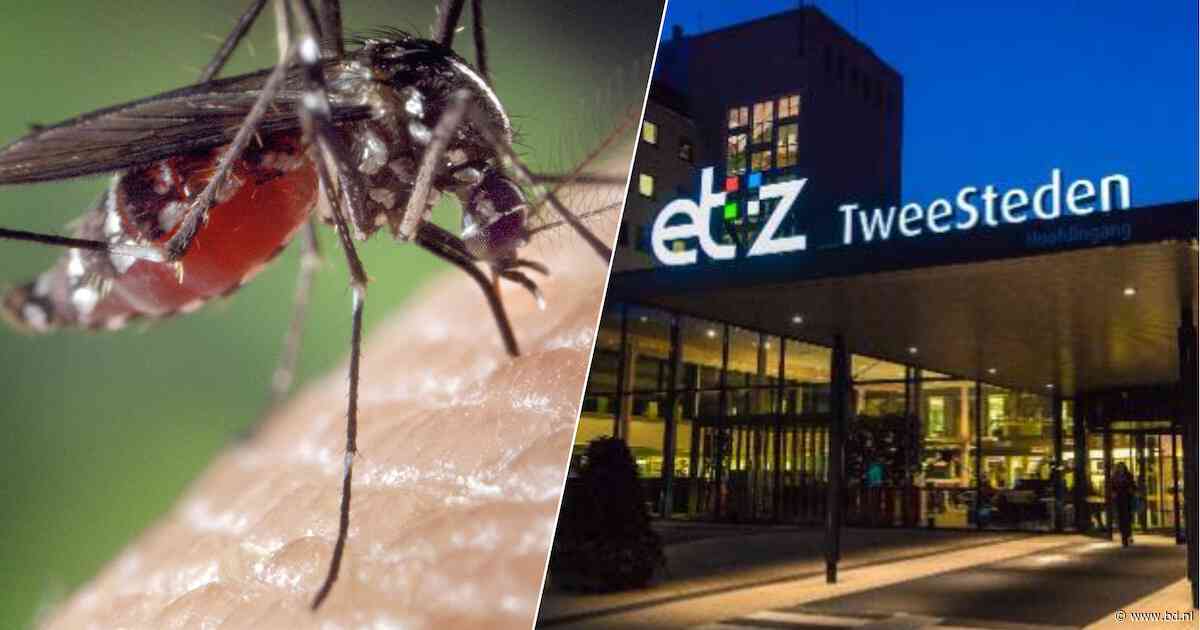 Meerdere patiënten met westnijlvirus in ziekenhuizen Tilburg en Den Bosch
