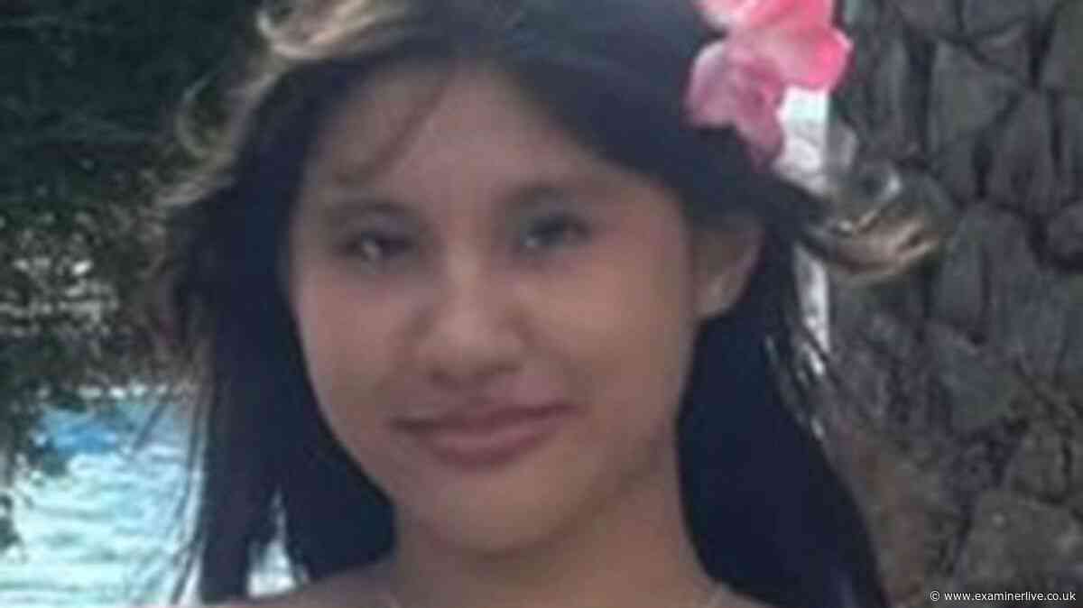 Girl, 16, hit by taxi outside Highgate School and killed is pictured
