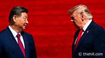 Trump confirms he will meet with Xi two more times this year