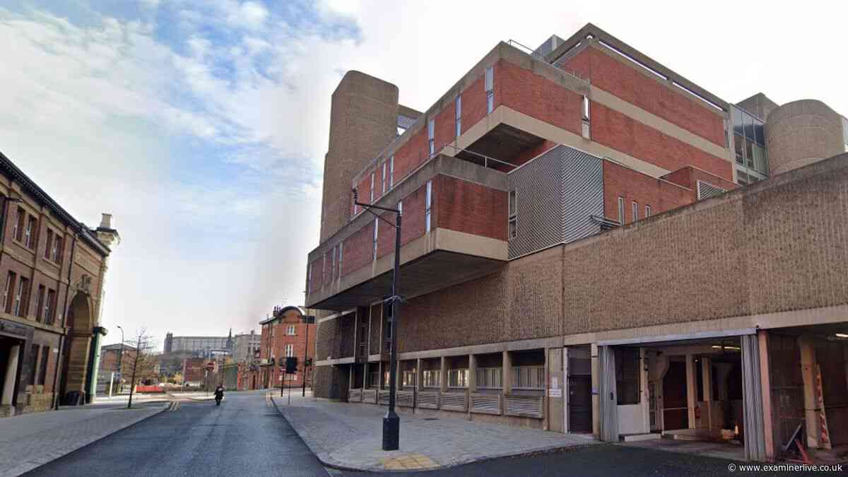 Sheffield man's sick actions after kitten left with broken leg after 'blunt force trauma'