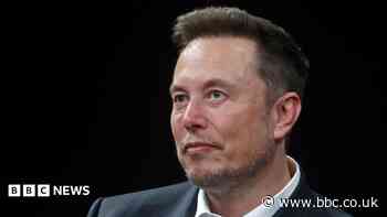 US backs Elon Musk's bid to overturn €120m EU fine against X
