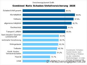 Die Gewinn- und Verlustbringer in der Schaden-/Unfallversicherung