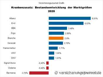 Die PKV-Anbieter mit den meisten Ergänzungsversicherten