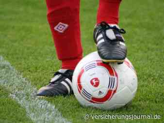 Sind Sportfunktionäre Ehrenamtler oder abhängig beschäftigt?