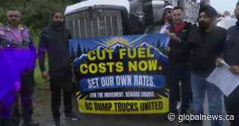 B.C. truck drivers protest high diesel prices: ‘We work for free right now’