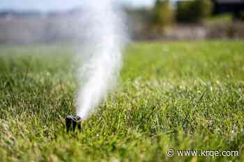 Water Authority: Recent rain means landscapes need less irrigation
