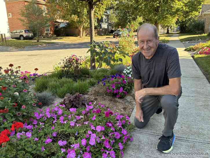 'Buzzing boulevards' pilot project proposed for Brantford