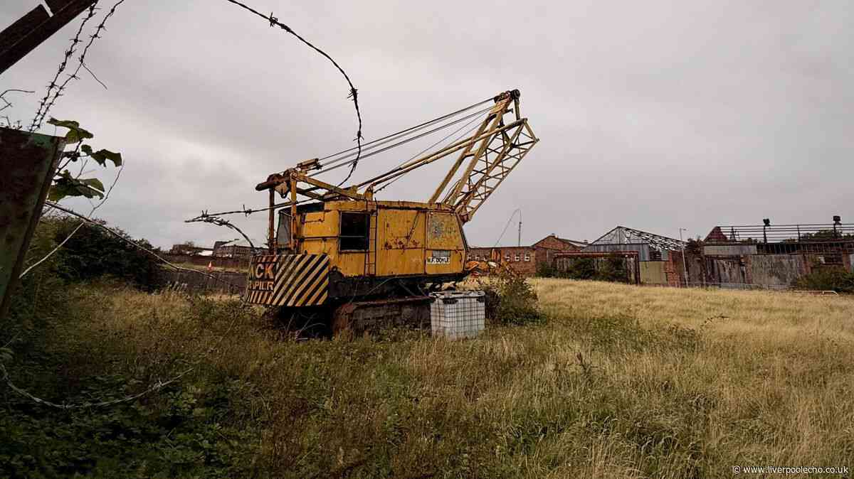 Stalled Vauxhall development on former school site covered in rusty construction vehicles