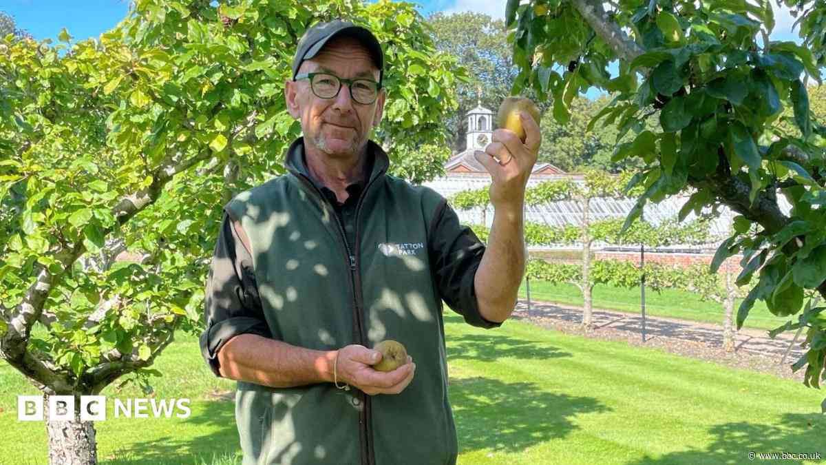 Apple Day called off after poor harvest