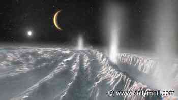 Saturn's moon could harbour ALIEN life: Scientists prove micro-organisms can thrive in Enceladus's ocean - suggesting it could be habitable