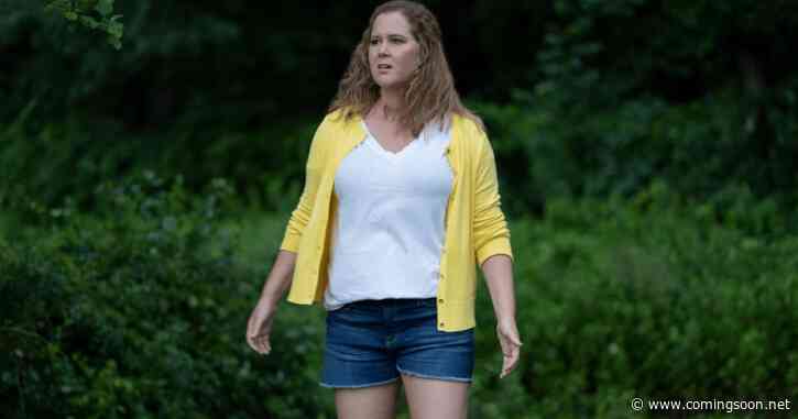 Amy Schumer & Chris Fischer Finalize Divorce After 7 Years of Marriage
