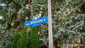Trump Avenue sign in Ottawa goes missing before official name change