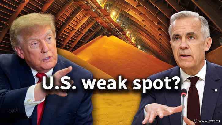 Why Trump’s potash threat against Canada isn’t as bizarre as it sounds