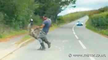 Man and escaped emu wrestle in road before bird headbutts him and runs away