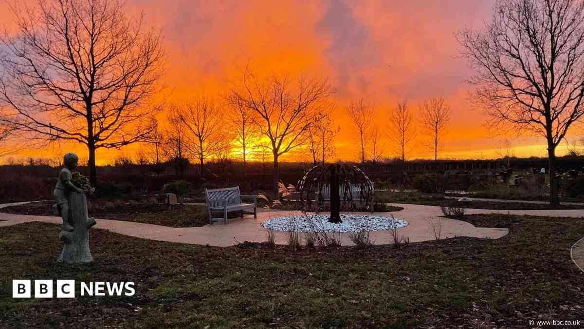 Delayed pet cremation service to open in November