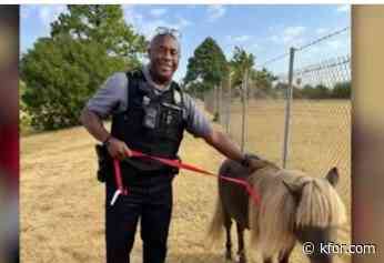 Oklahoma City Police wrangle mini horse