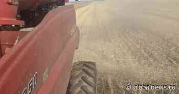 Saskatchewan harvest faces higher costs and delays