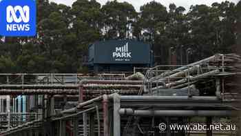 AI data centre company starts development work without a permit
