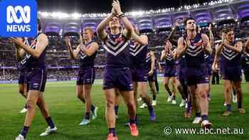 How the Dockers went from perpetual underdogs to top of the game
