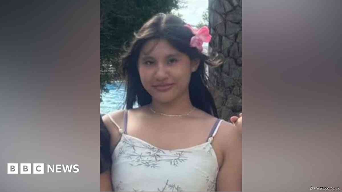 Girl killed in crash as she walked to school named
