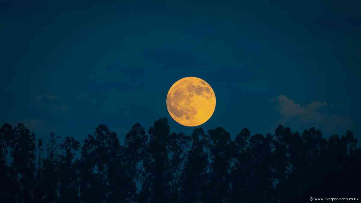 Stunning 'Harvest Moon' rising this weekend and it's different - why you'll want to look up