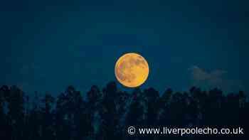 Stunning 'Harvest Moon' rising this weekend and it's different - why you'll want to look up
