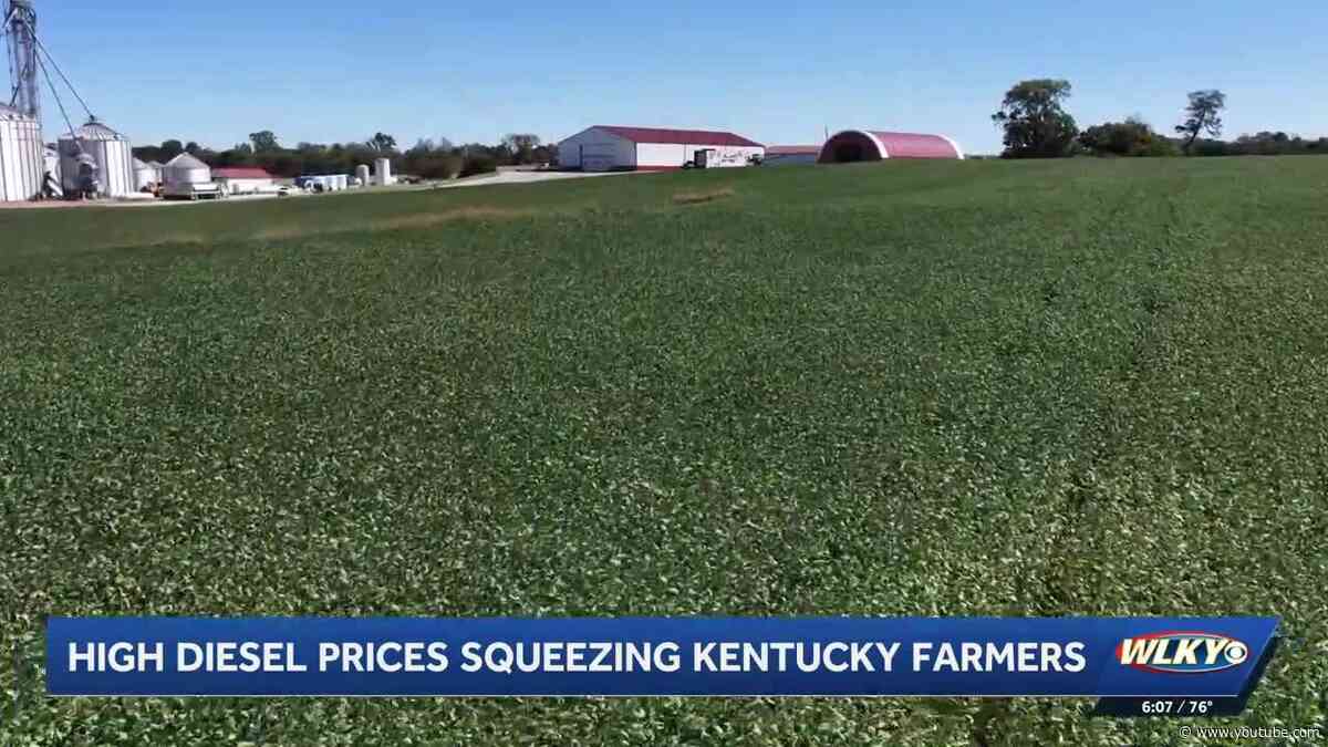 At harvest, high diesel costs eating up Kentucky farmers' bottom line
