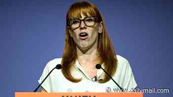 Shabana Mahmood's migrant visa plan is flawed, says Angela Rayner