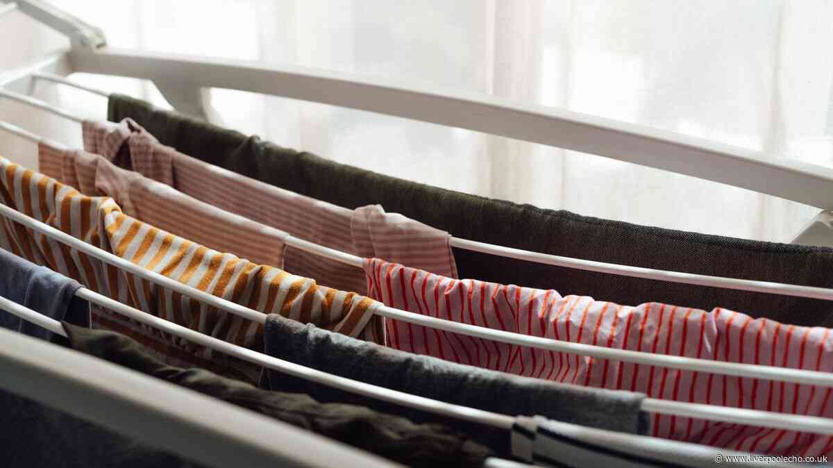 How to dry clothes indoors fast without a musty smell — no tumble dryer needed