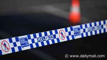 Woman believed to be in her 60s dies after being struck by vehicle on NSW highway