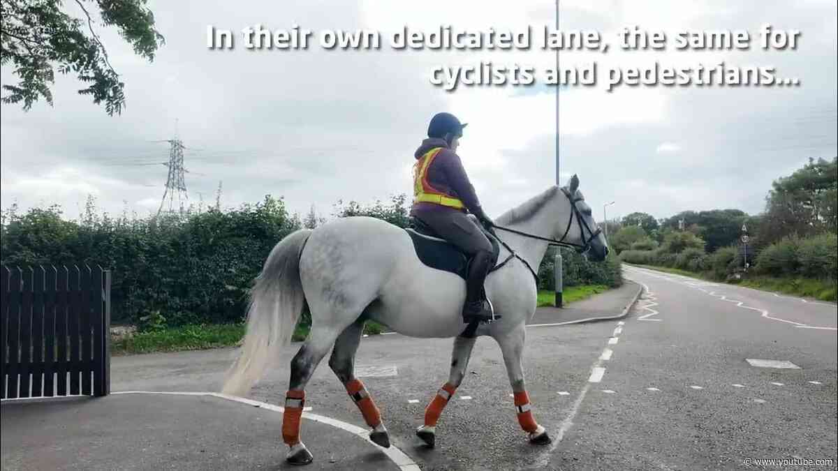 TRIXIE crossing - Hadlow Road, Willaston