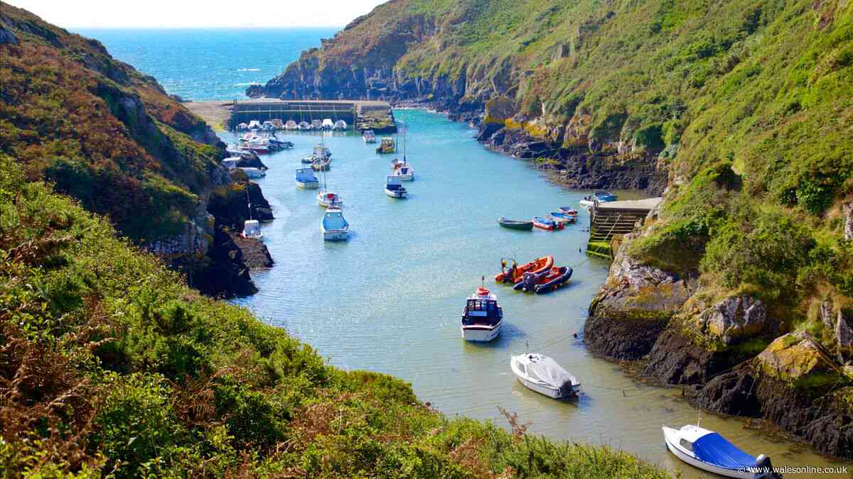 Beautiful Welsh coastal walk has secret seal spotting, gorgeous views and the perfect autumn pub