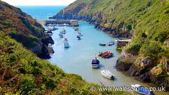 Beautiful Welsh coastal walk has secret seal spotting, gorgeous views and the perfect autumn pub