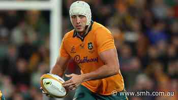 Canham injury forces late Wallabies into late reshuffle for Springboks clash