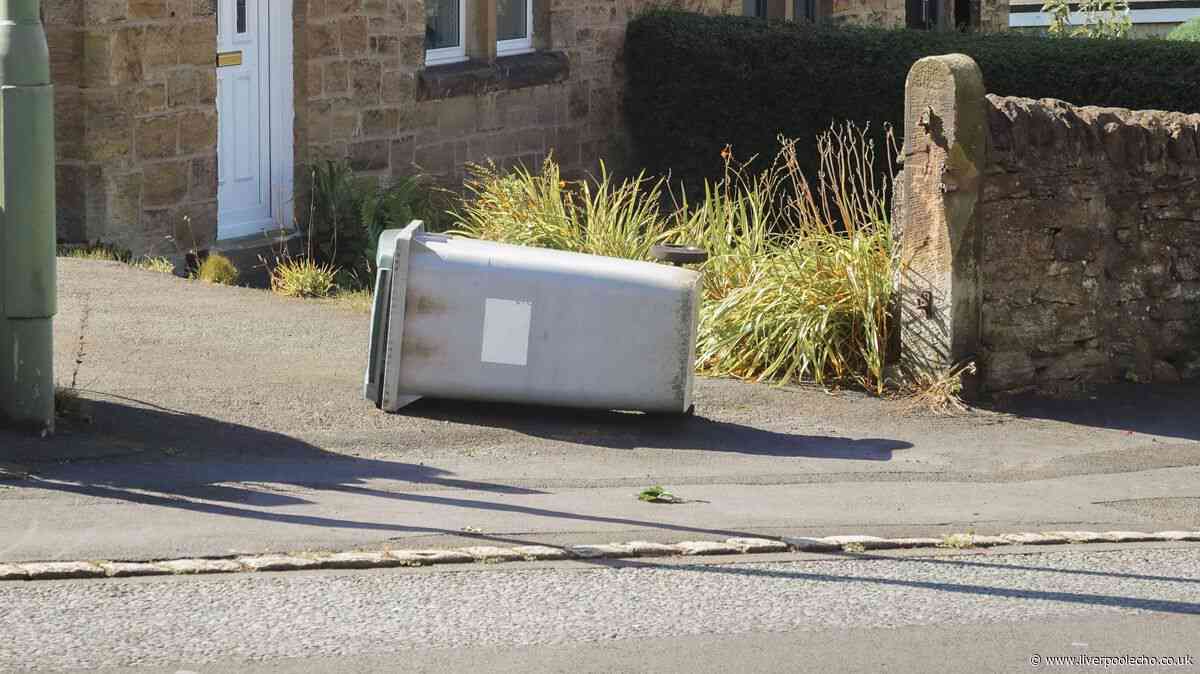 Binman issues crucial advice for all during windy weather