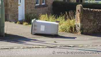 Binman issues crucial advice for all during windy weather