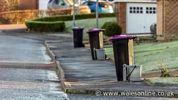 Binman shares simple trick to stop your bins blowing away in windy weather
