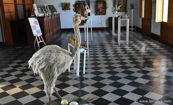 Patagones: una muestra propuso memoria, arte y miradas de la comarca 