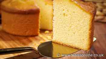 Mary Berry’s lemon drizzle cake always comes out moist with simple one-bowl recipe