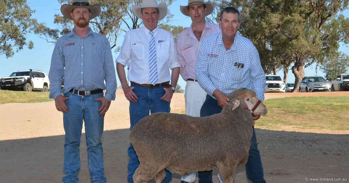 Kerin Ag achieves complete 500-ram clearance, backing clients with market muscle