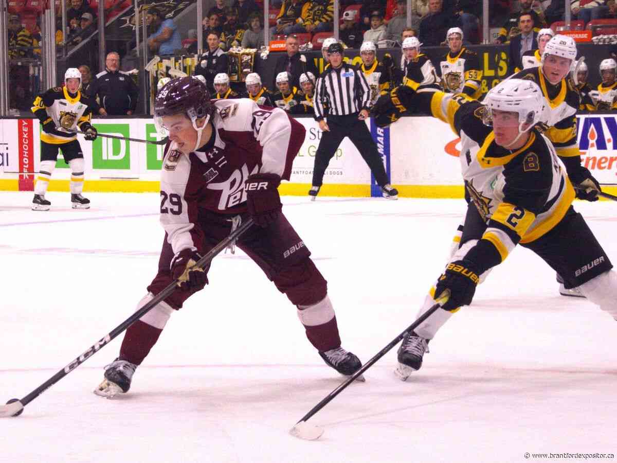 Brantford Bulldogs move to 3-0 on season
