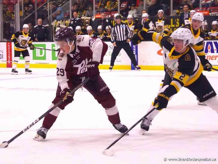 Brantford Bulldogs move to 3-0 on season