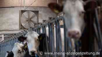 Milchprodukte könnten bald teurer werden